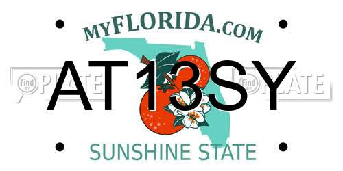 AT13SY Florida License Plate