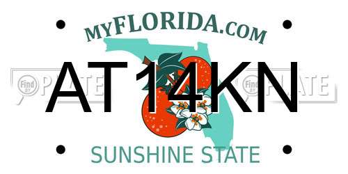 AT14KN Florida License Plate