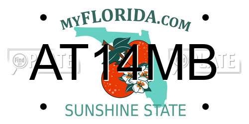 AT14MB Florida License Plate