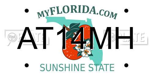 AT14MH Florida License Plate