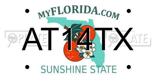 AT14TX Florida License Plate