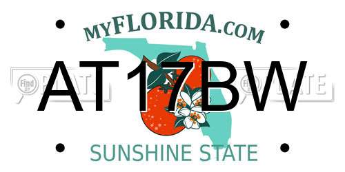 AT17BW Florida License Plate