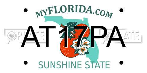 AT17PA Florida License Plate
