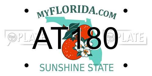 AT180 Florida License Plate