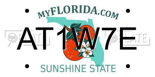 AT1W7E Florida License Plate