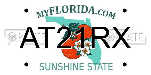 AT21RX Florida License Plate