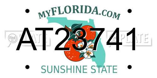 AT23741 Florida License Plate