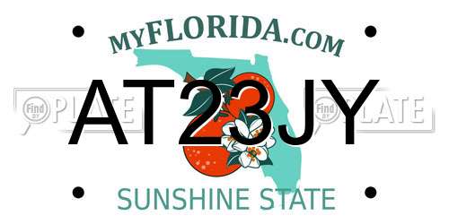 AT23JY Florida License Plate