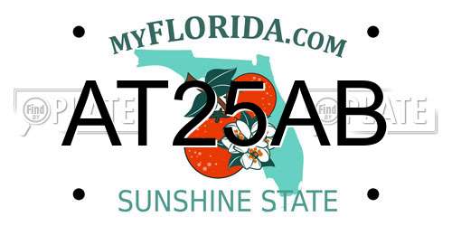 AT25AB Florida License Plate