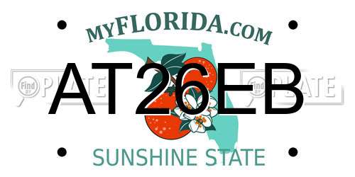 AT26EB Florida License Plate