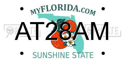 AT28AM Florida License Plate