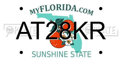 AT28KR Florida License Plate