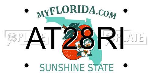 AT28RI Florida License Plate
