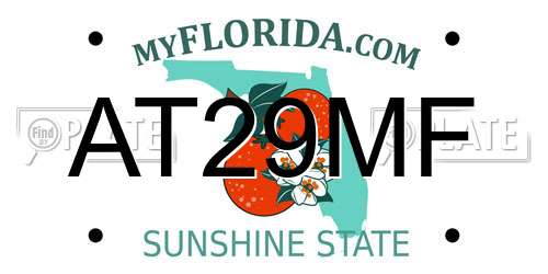 AT29MF Florida License Plate