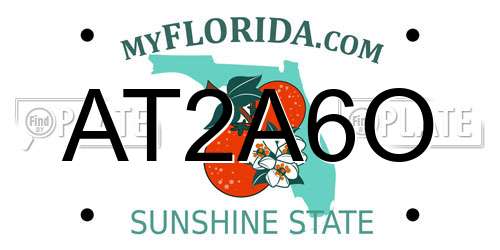 AT2A6O Florida License Plate