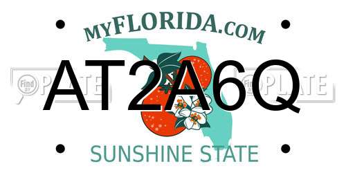AT2A6Q Florida License Plate