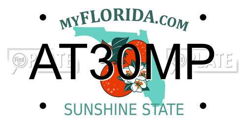 AT30MP Florida License Plate