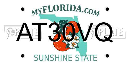 AT30VQ Florida License Plate