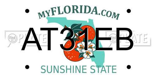 AT31EB Florida License Plate