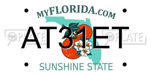 AT31ET Florida License Plate