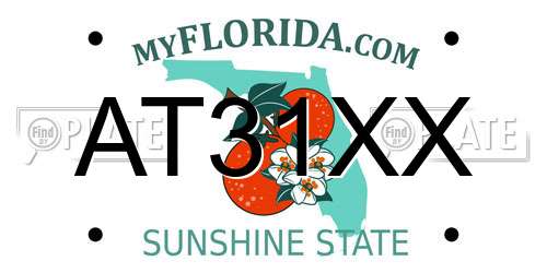 AT31XX Florida License Plate