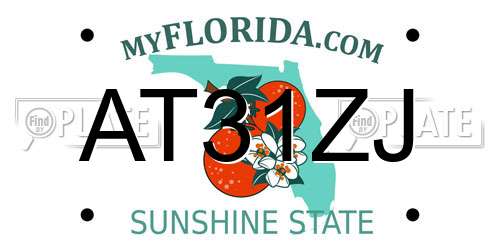AT31ZJ Florida License Plate