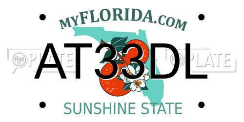 AT33DL Florida License Plate