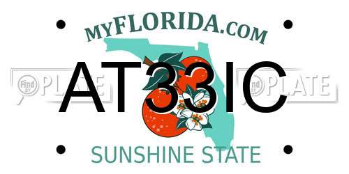 AT33IC Florida License Plate