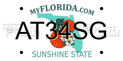 AT34SG Florida License Plate