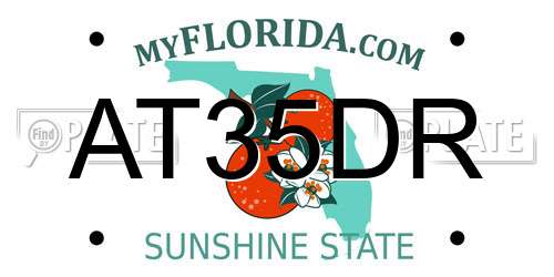 AT35DR Florida License Plate