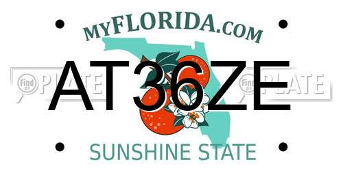 AT36ZE Florida License Plate