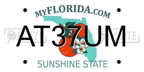 AT37UM Florida License Plate