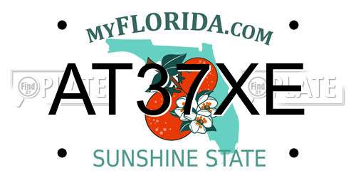 AT37XE Florida License Plate