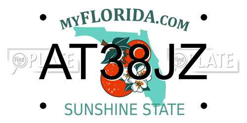 AT38JZ Florida License Plate