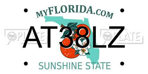 AT38LZ Florida License Plate