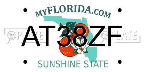 AT38ZF Florida License Plate
