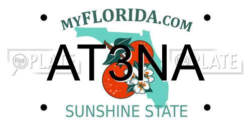 AT3NA Florida License Plate