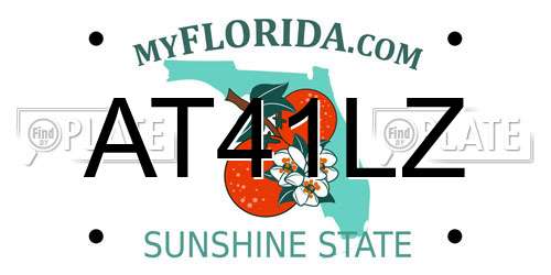AT41LZ Florida License Plate