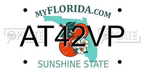 AT42VP Florida License Plate