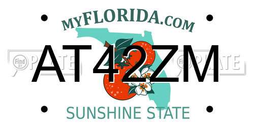 AT42ZM Florida License Plate