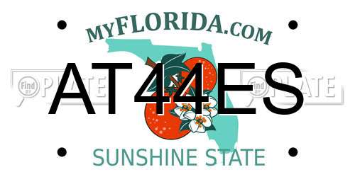 AT44ES Florida License Plate