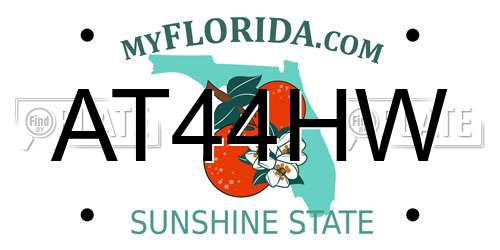 AT44HW Florida License Plate