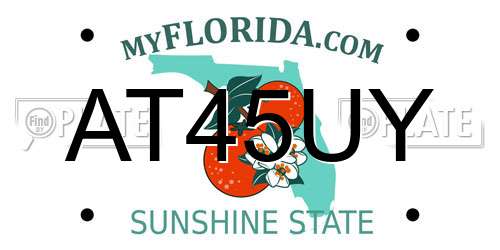 AT45UY Florida License Plate