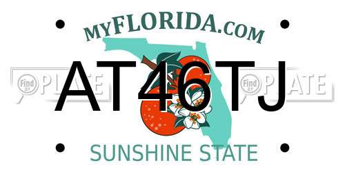 AT46TJ Florida License Plate