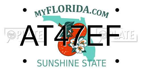 AT47EF Florida License Plate