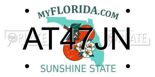 AT47JN Florida License Plate