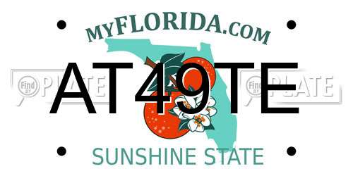 AT49TE Florida License Plate