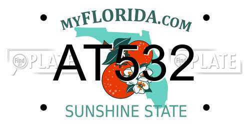 AT532 Florida License Plate