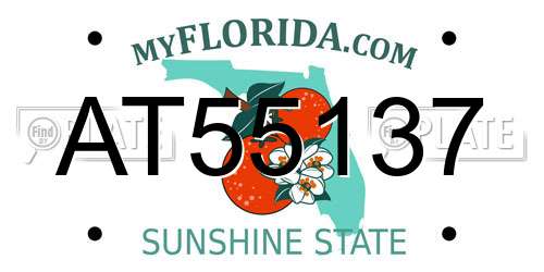 AT55137 Florida License Plate