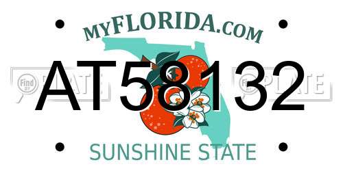 AT58132 Florida License Plate
